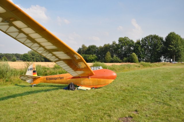DSC_5600 (800x531)